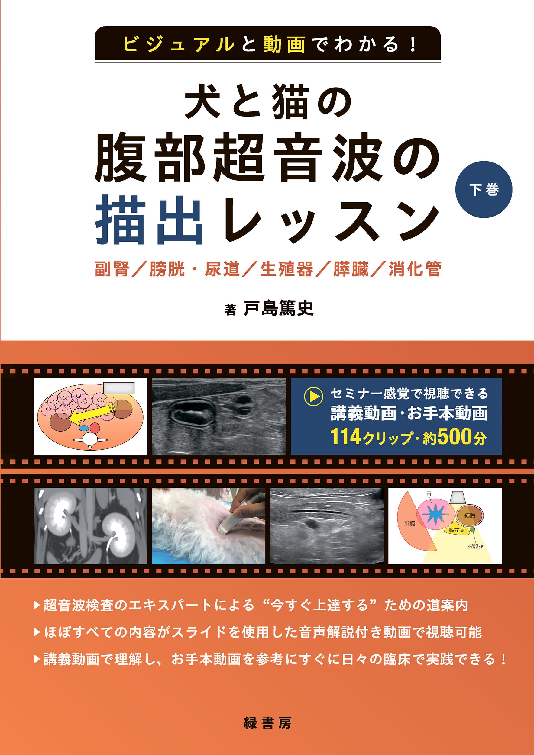 ビジュアルと動画でわかる！ 犬と猫の腹部超音波の描出レッスン 下巻