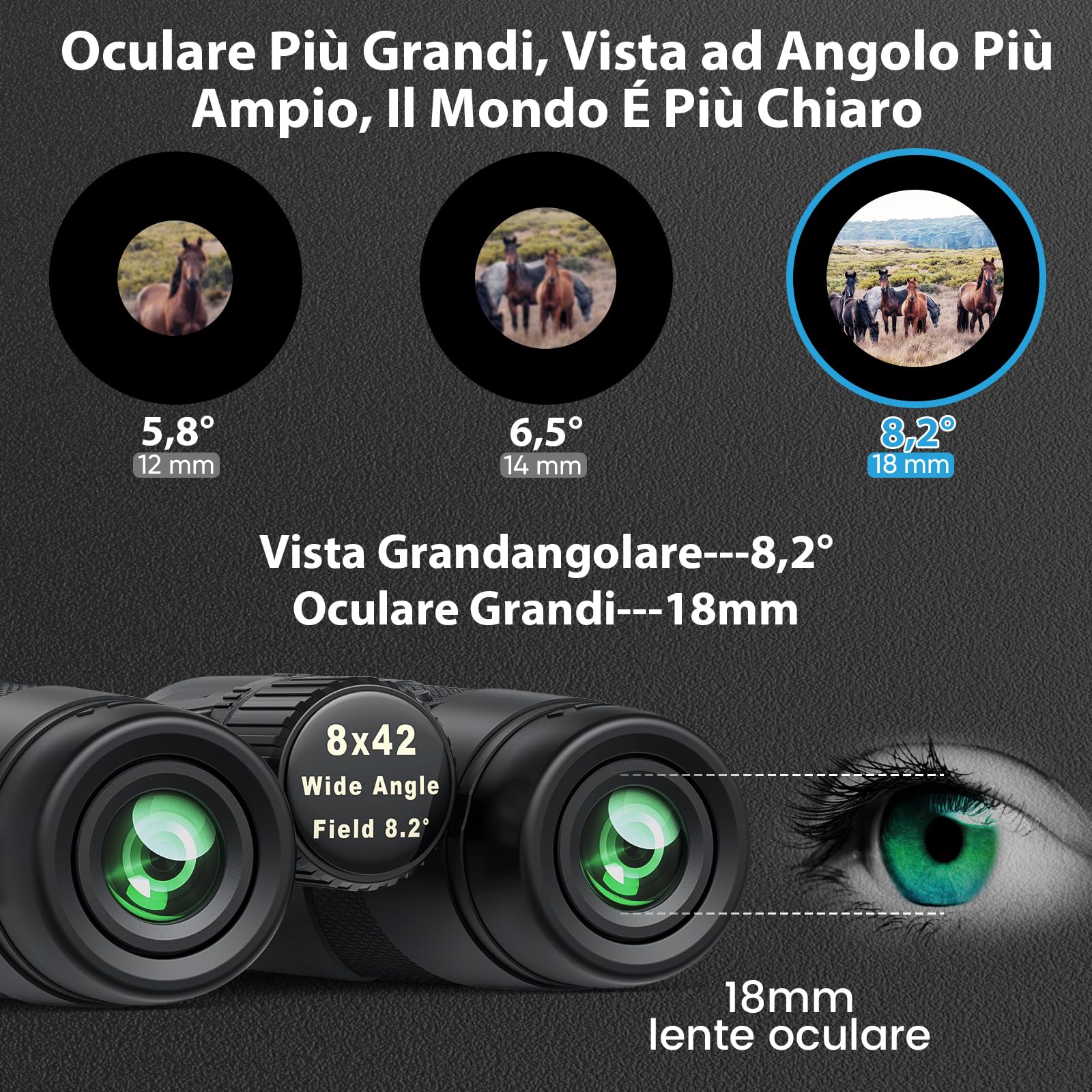 Binocolo Professionale Potente Compatto Safari: Timorn Binocoli 8x42 Visione Ampia Impermeabile con Treppiede Adattatore Telefono per Caccia, Birdwatching, Trekking, Escursionismo