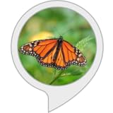 モナークバタフライの事実