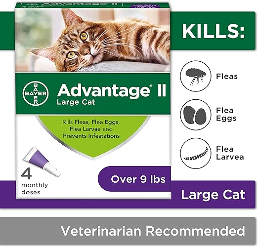 advantix for cats