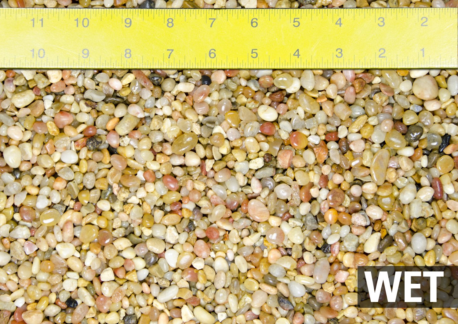 3 Lbs Salmon Bay Pebbles for Bonsai Tree Humidity/Drip Tray, Lucky Bamboo, Fish Tank & Top Dressing