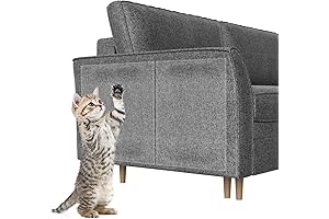 Protectors for Cats: Keep Your Furniture Scratch-Free