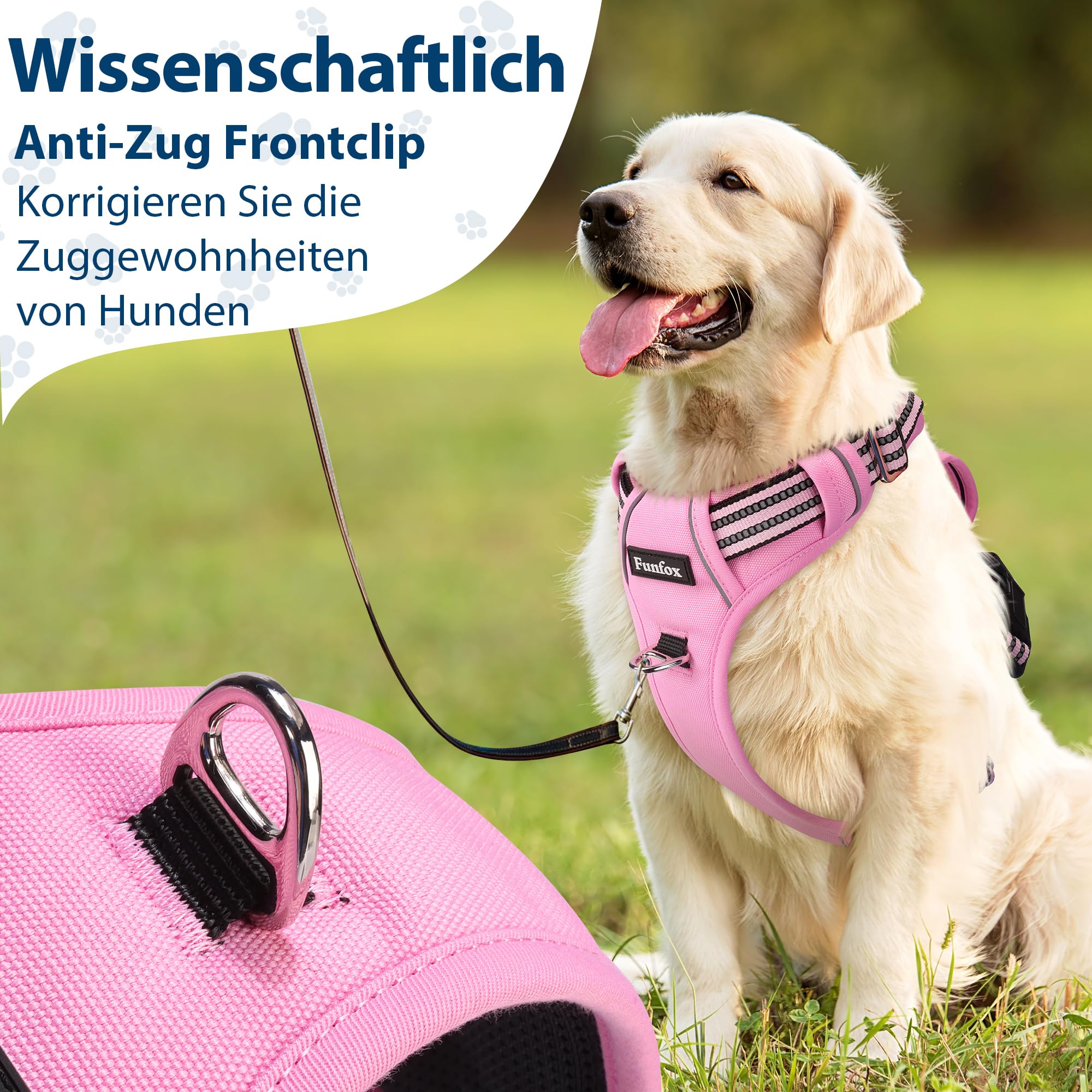 Hundegeschirr Mit 2 Clips (Front/Rücken) – Verstellbar, Größe M, Himmelblau, Zieh-vermeidend
