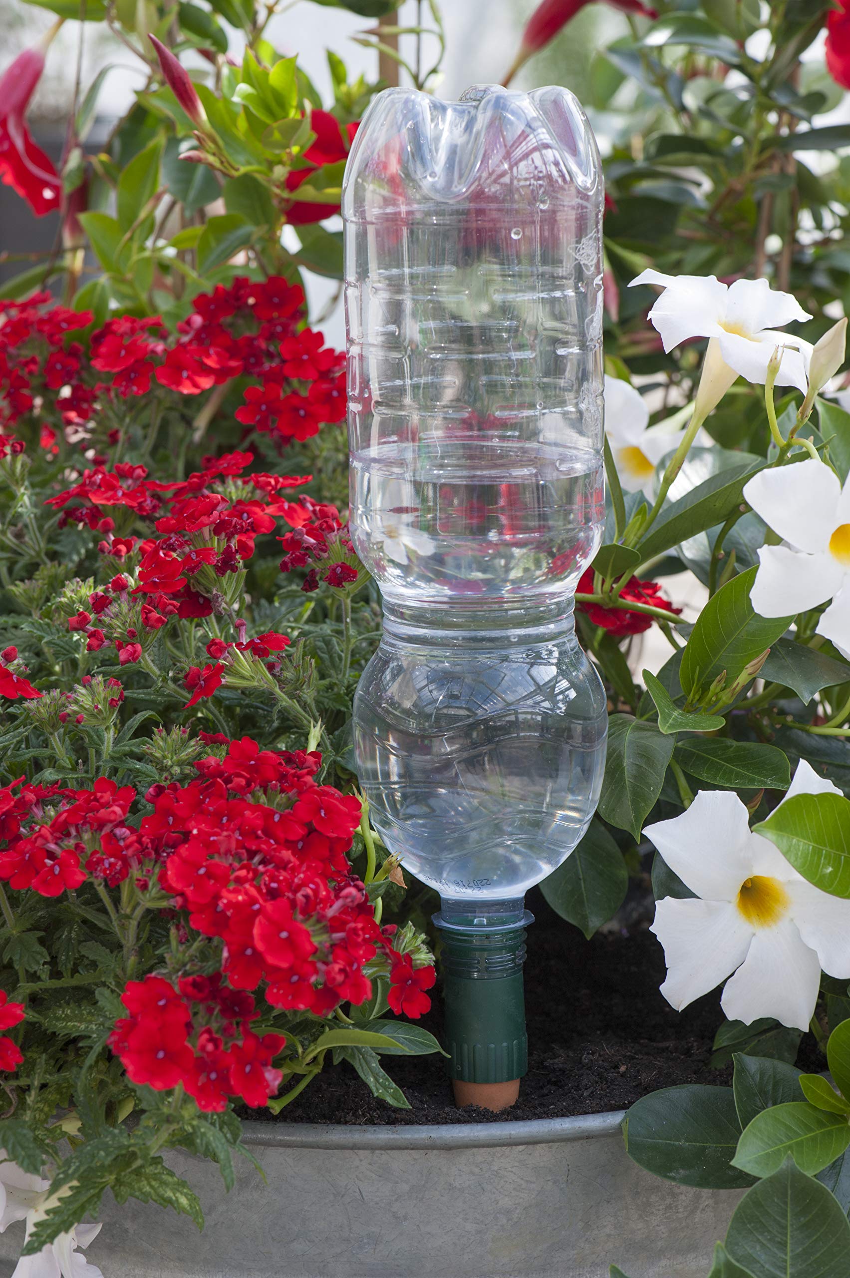 Blumat Bottle Adapter (6 Pack) Self Watering Spikes/Houseplant