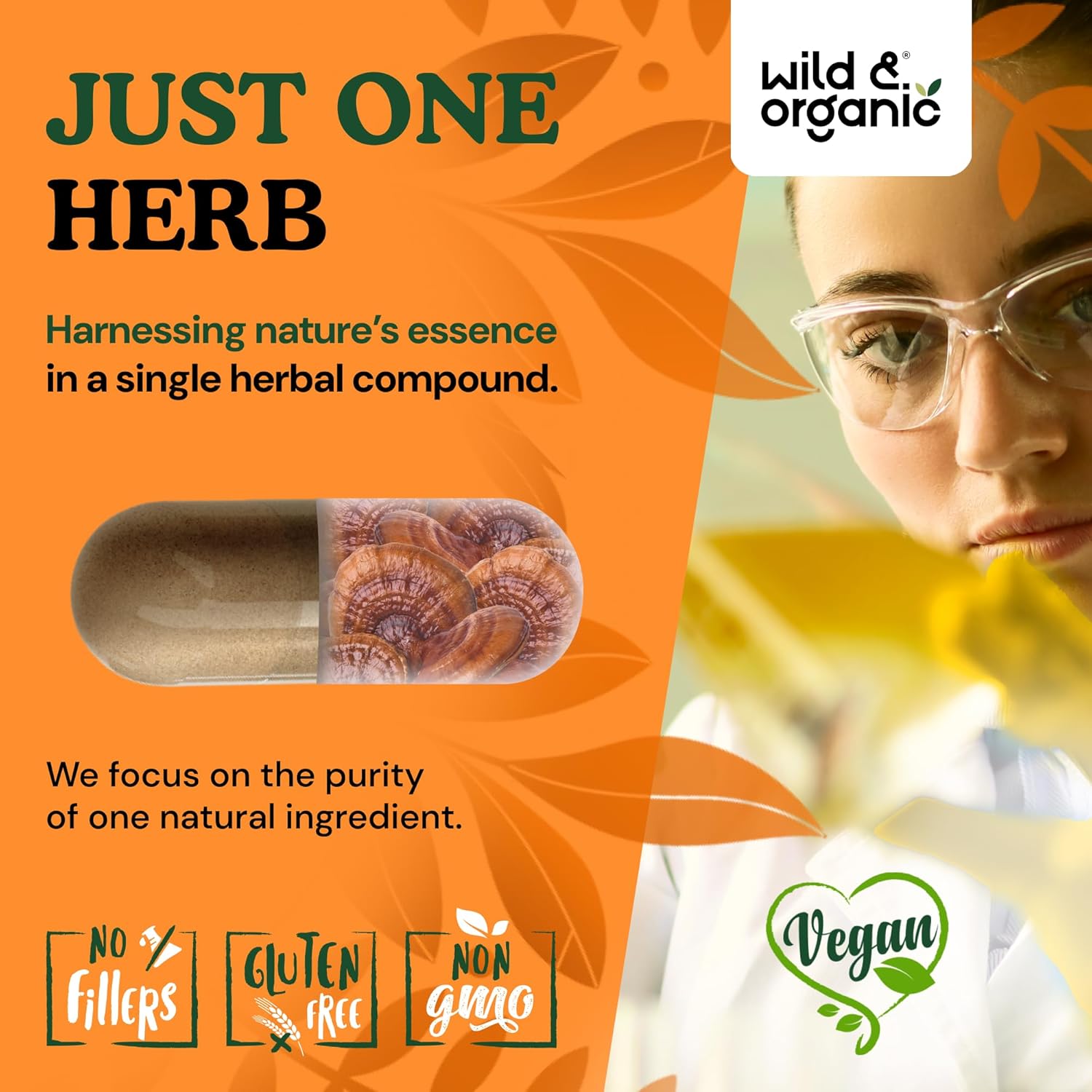 Wild & Organic Reishi Mushroom Capsules 1000 mg - Immune & Energy Support - Red Reishi Mushroom Powder - Ganoderma Lucidum Extract Supplement - 90 Vegan Capsules - 45 Days Supply, Non-GMO, Gluten-Free - Image 5