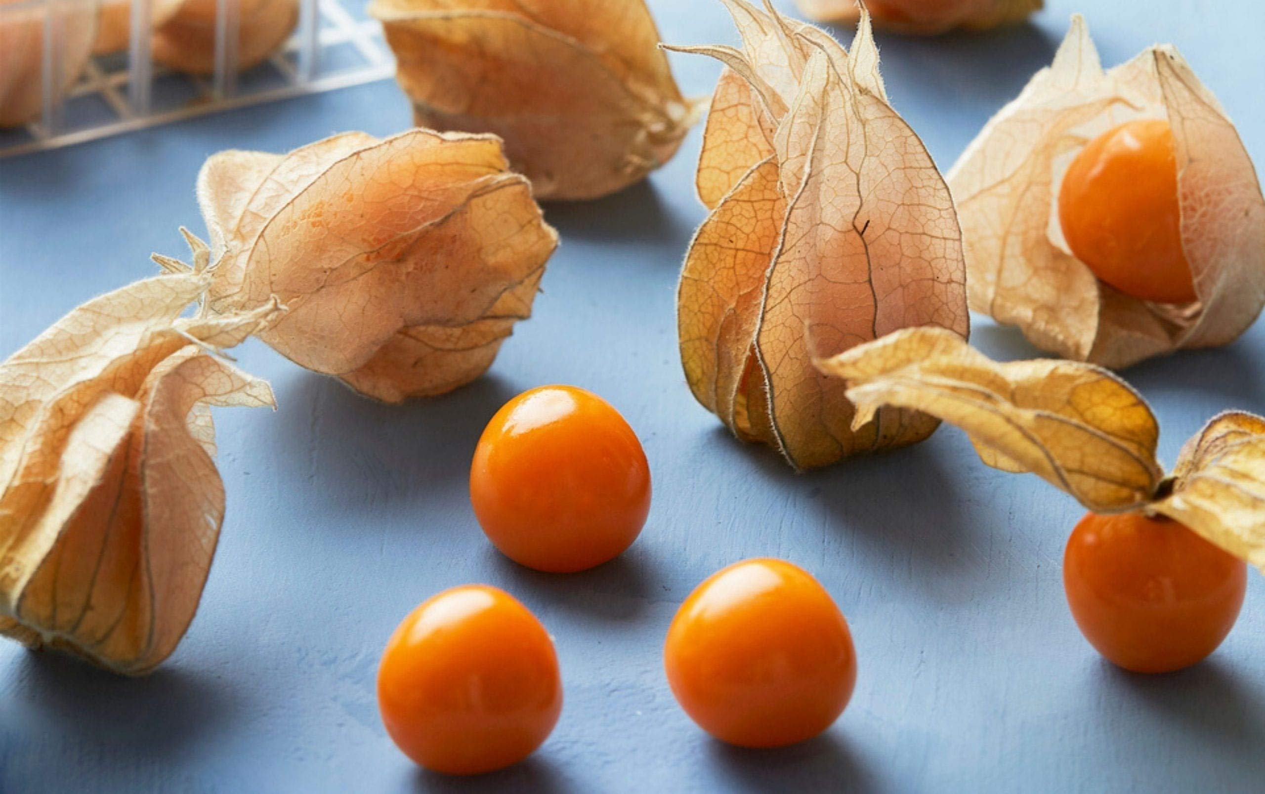 35+ Seeds - Organic Ground Cherry aka Strawberry Husk Tomato Physalis Pruinosa Tomatillo- Grow In All Seasons (B0C9F195TR) Amazon Price History, Amazon Price Tracker