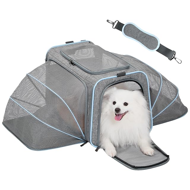 Petsfit Transportín Expandible para Gatos para 2 Gatos Transportines para Perros Pequeños
