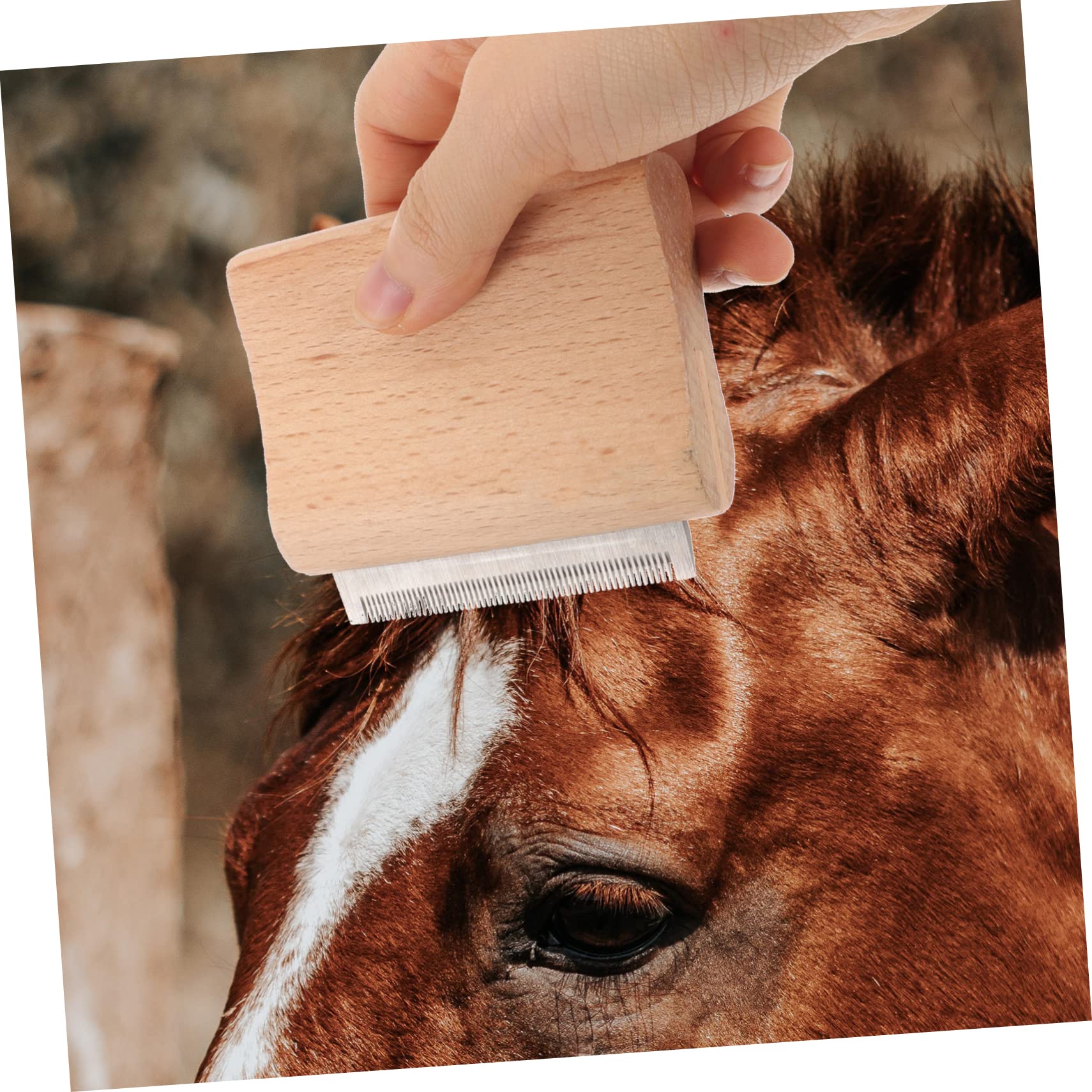 minkissy Cepillo de madera para caballos de 4 piezas, suministros agrícolas, cepillo removedor de pelo, cepillo de metal para caballo, herramienta de aseo para caballos, herramienta de eliminación de