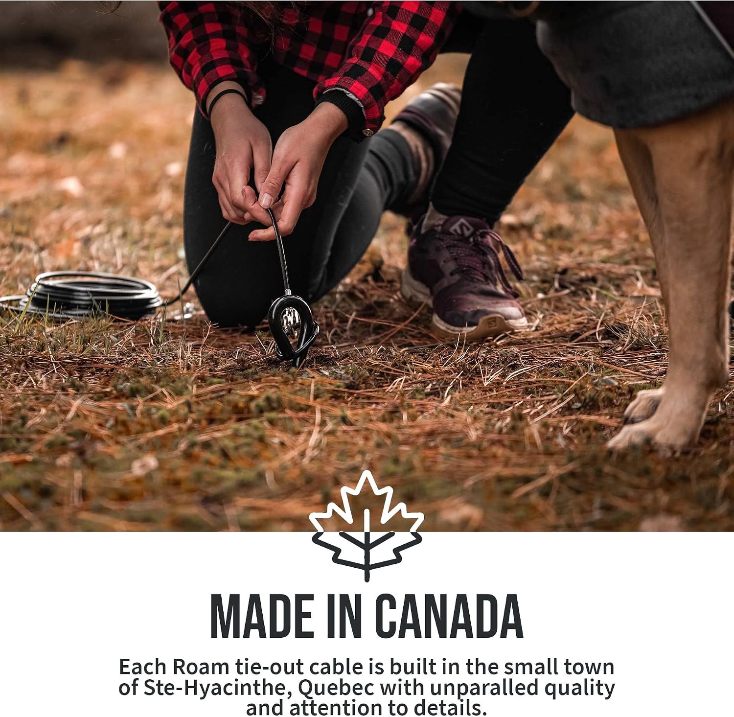 SÄKER Premium Tie Out Cable - Made in Canada - Heavy Duty Lead Holds Dogs up to 125lbs - Rust Resistant and Perfect for The Yard, Camping and Beach. (15 Ft)