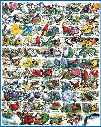 White Mountain Puzzles State Birds and Flowers - Rompecabezas de 1000 piezas