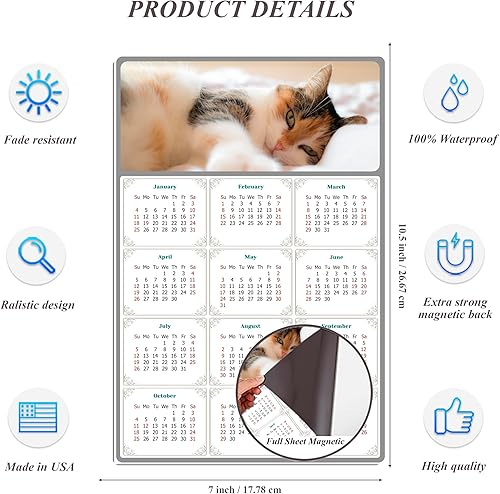 Miniatura 5 de Calendario magnético 2024  Imanes del calendario  Today is my Lucky Day  Resistente a la decoloración, desgarros y agua  Temática de gato 04 (7 x