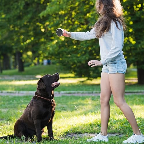 Miniatura 3 de Pelotas Chirriantes para Perros - Pelotas de Tenis Chirriantes para Perros, Negro | Mediano - 6.35 cm, Pack de 20 Negro -,Leopardo,Multicolor