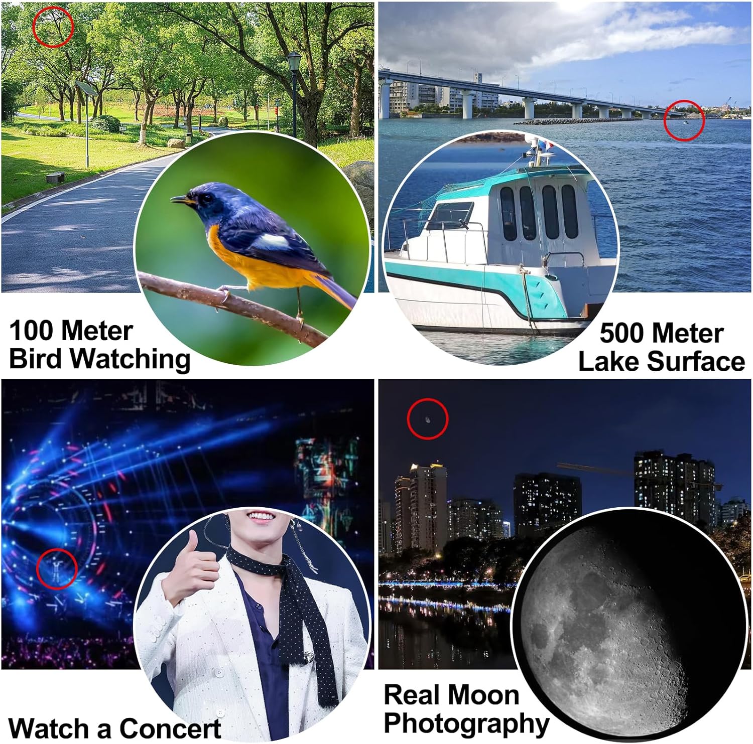 12x42 ED HD Binoculars for Adults, IPX7 Nitrogen Filled Waterproof & Fogproof Large Eyepiece Low Light Vision Optical System with FMC Coated & BAK4 Prism for Bird Watching Travel Hunting - Image 5