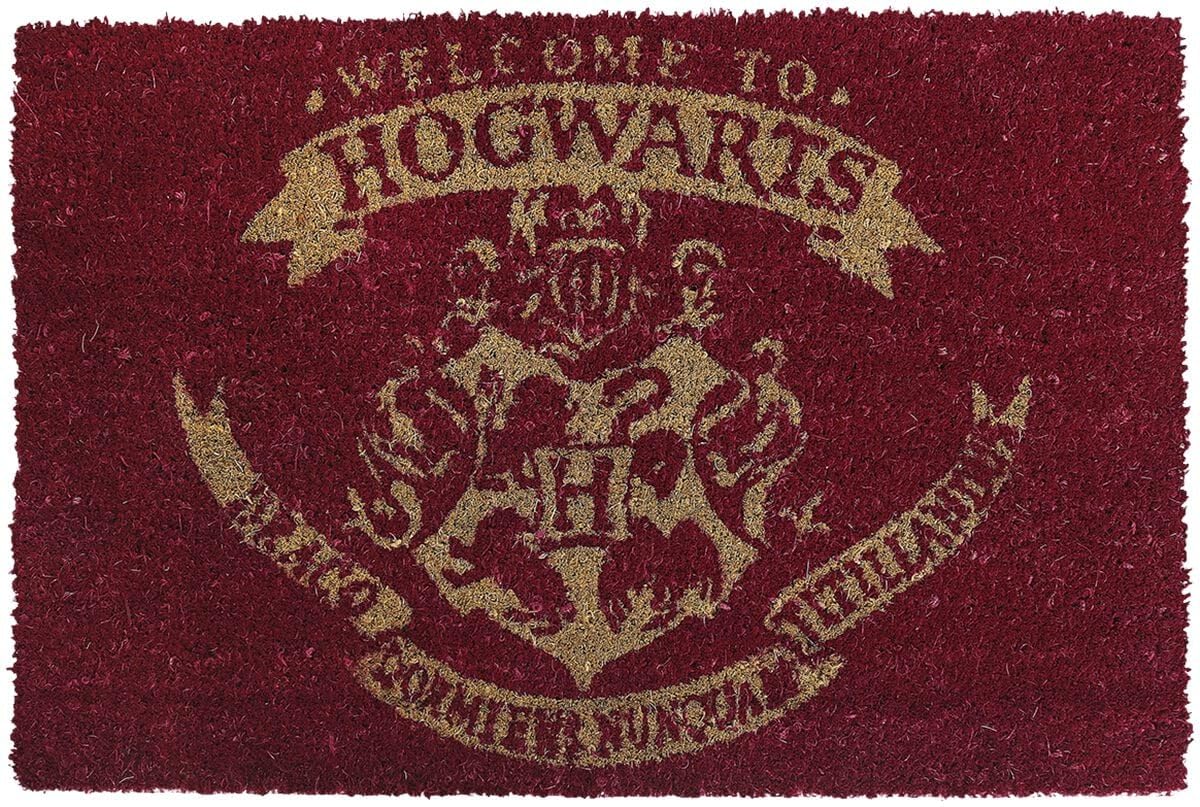 Harry Potter Welcome To Hogwarts Unisex Zerbino multicolore PVC