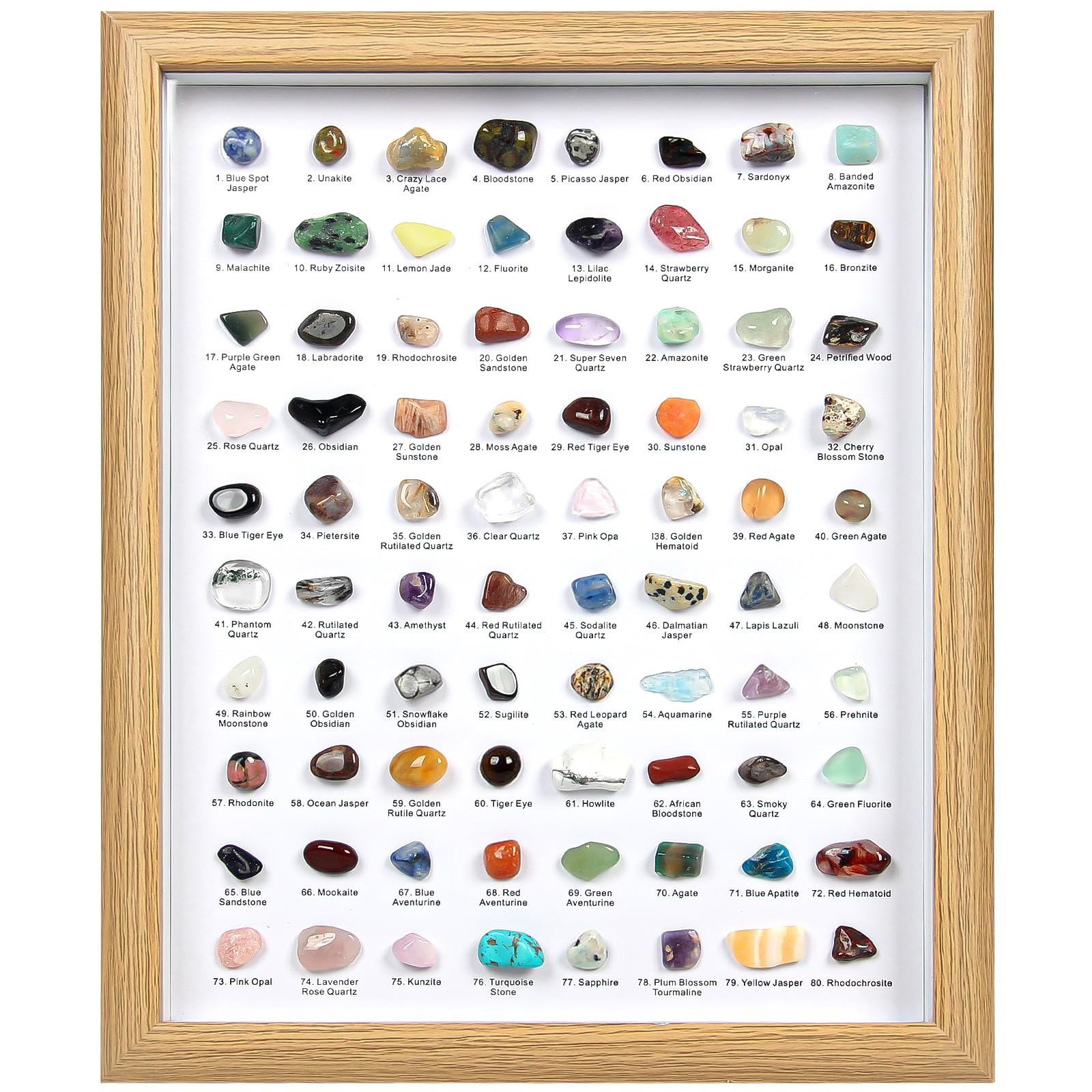 80PCS Natural Rock Collection Box, Crystals and Gemstones Rock Display Case