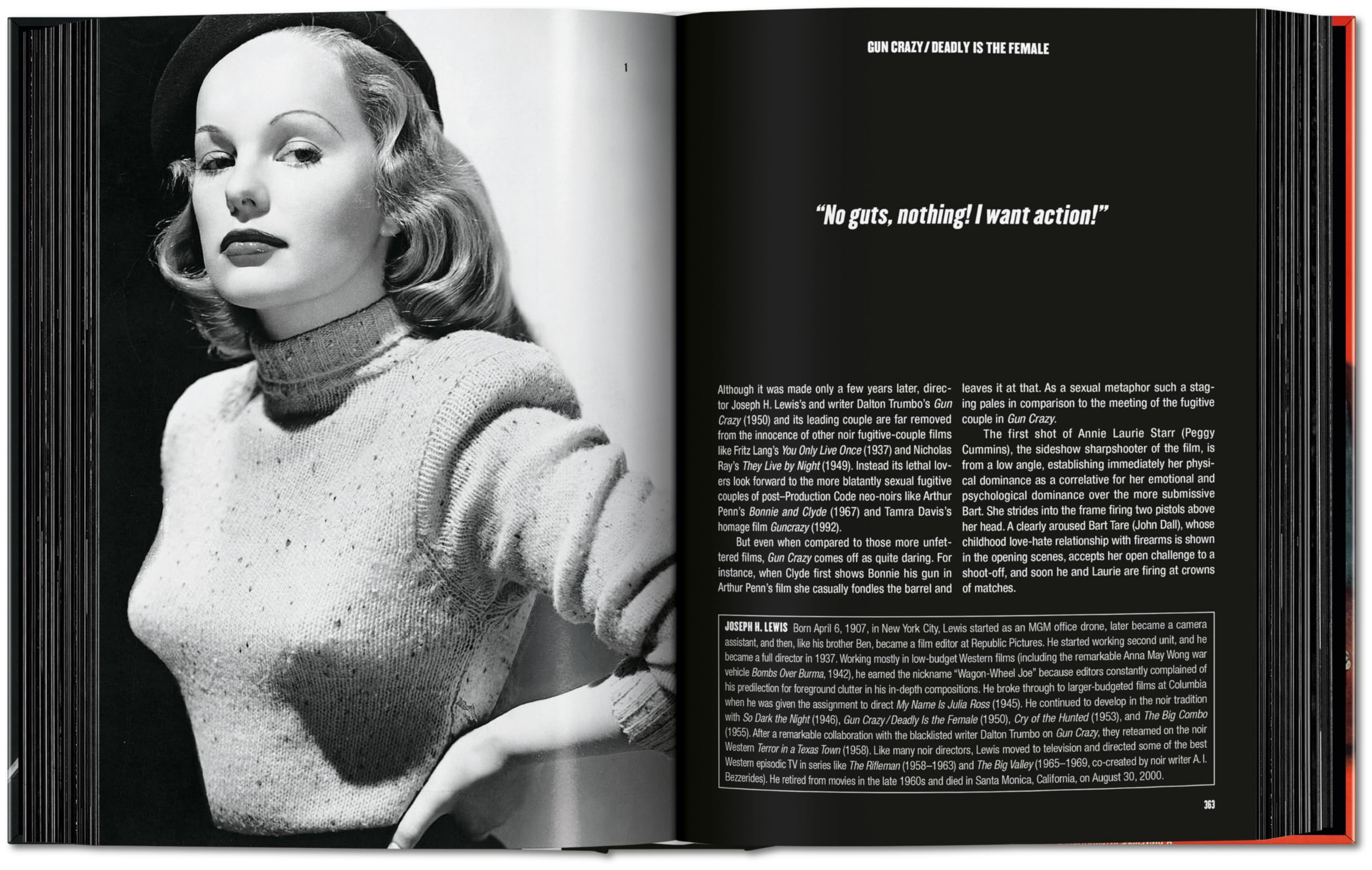 Film Noir: 100 All-Time Favorites (Sourcebook)