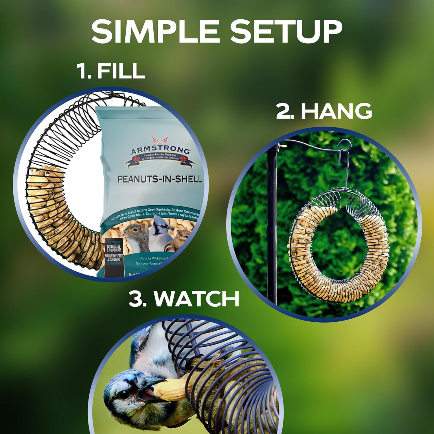 Armstrong Wild Bird Food Wreath-Shaped Peanut Feeder + 6 lb Peanuts-in-Shell Bundle – Durable Metal Hanging Coil Feeder with Nutritious Peanuts for Blue Jays, Squirrels, and Backyard Wildlife