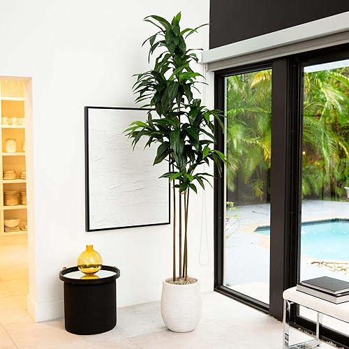 Vista 19 de Nearly Natural Planta artificial Dracaena de 56 pulgadas (tacto real)