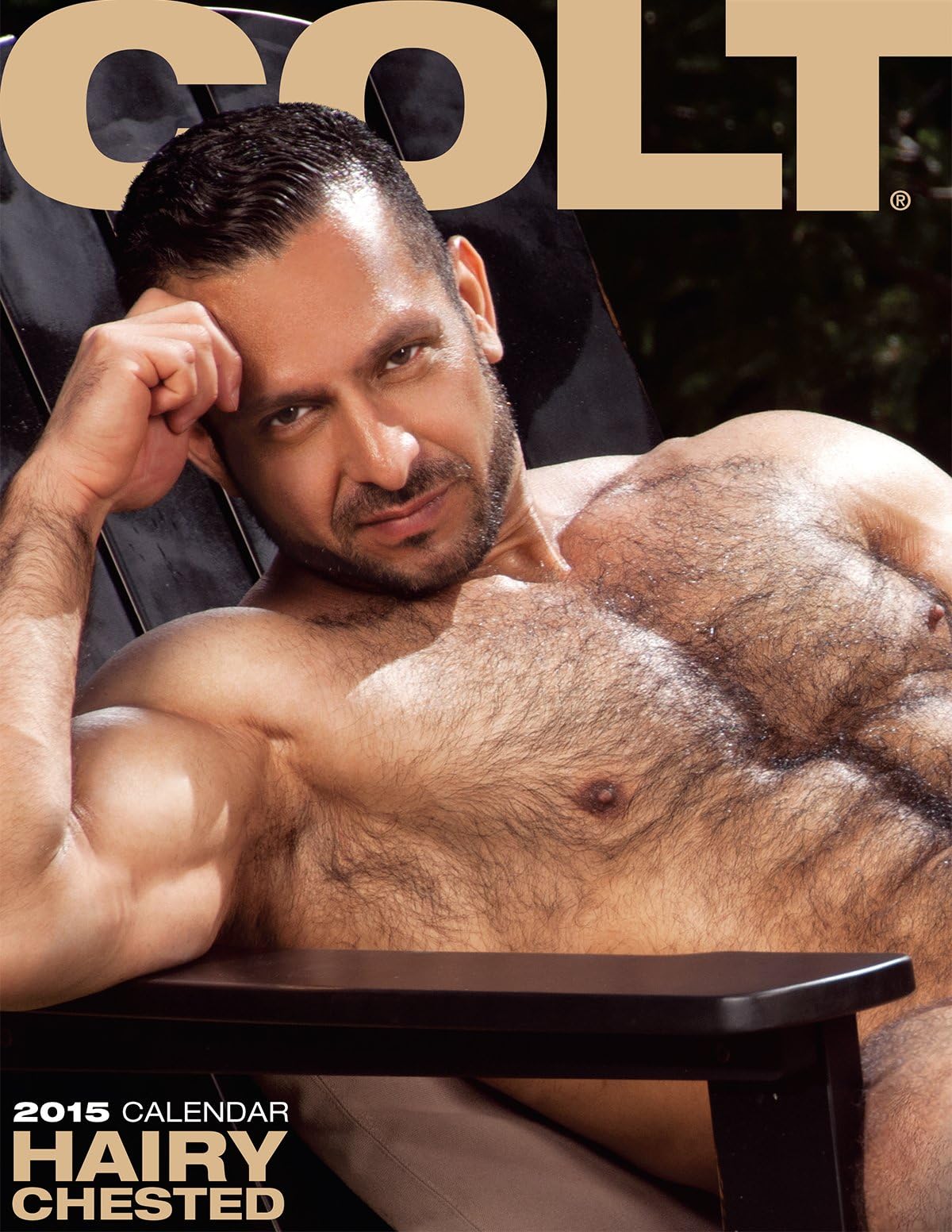 2015 Hairy Chested Calendar