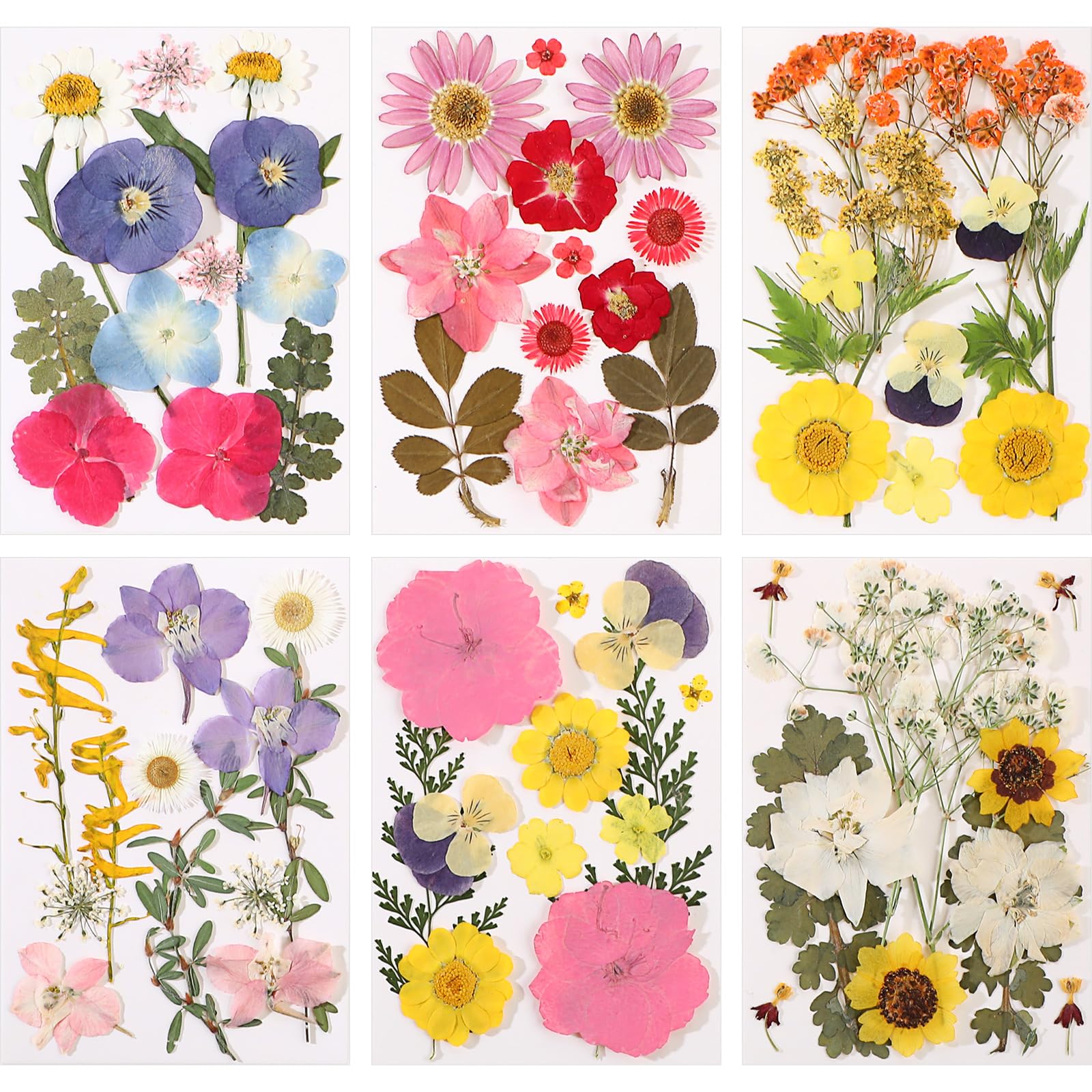 eBoot 72 Pcs Dried Pressed Flowers for Resin Molds Real Pressed Flowers Dry Leaves Bulk Natural Herbs Kit for Scrapbooking DIY Art Crafts Jewelry Molds Candle Soap Making Nails Decor(Fresh Style)