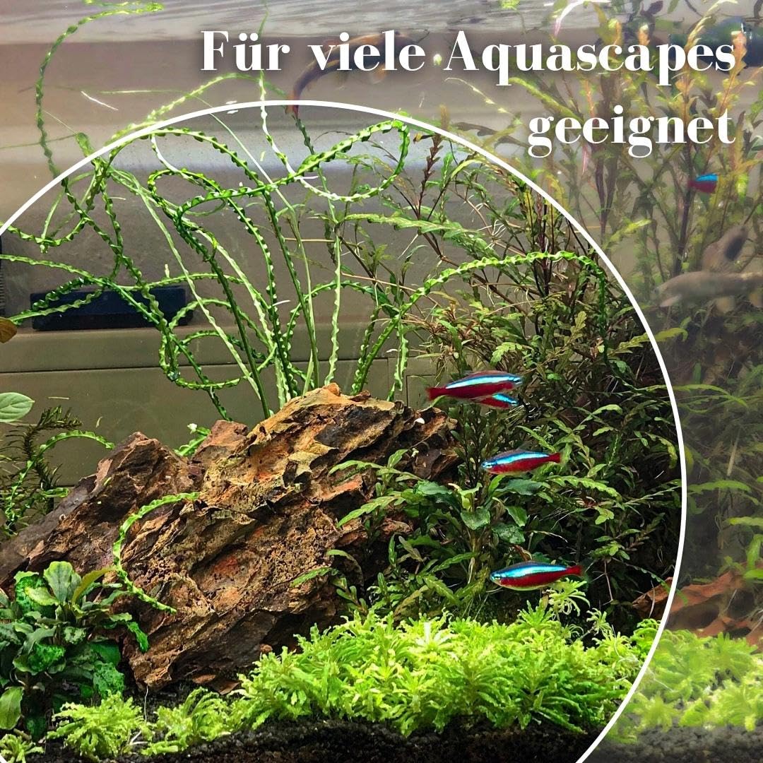AquaOne Zestaw kamieni do akwarium S2 I kamienie naturalne Dragon Mix I 9 kamieni rozm. M-XL I Aquascaping skały I dekoracja na ścianę I tylna ścianka brązowa