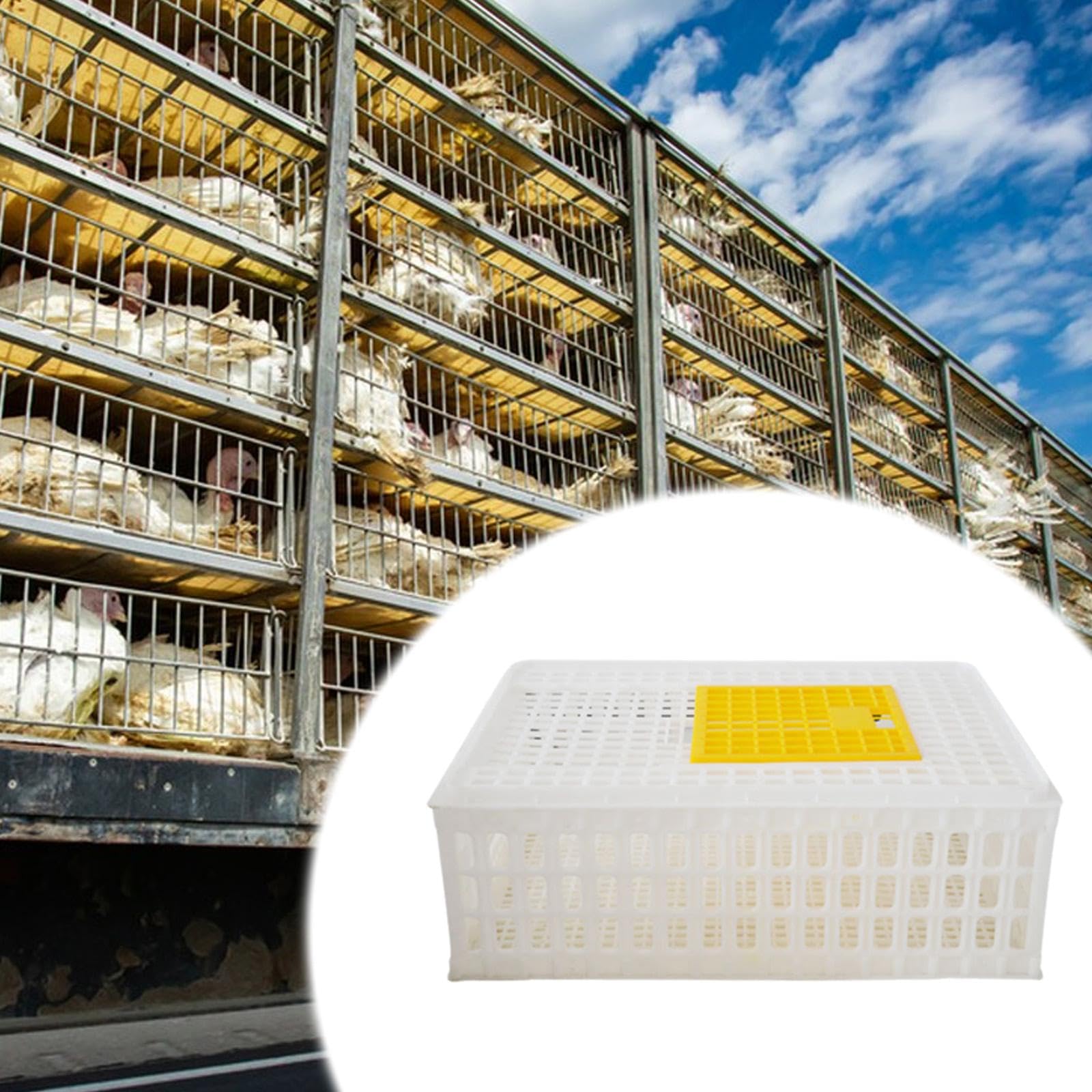 Jaula Transportadora para Aves de Corral, Cesta Transportadora Multiusos Apilable para Pollos, Hámsteres, Pájaros, Conejos Y Gansos, Blanco