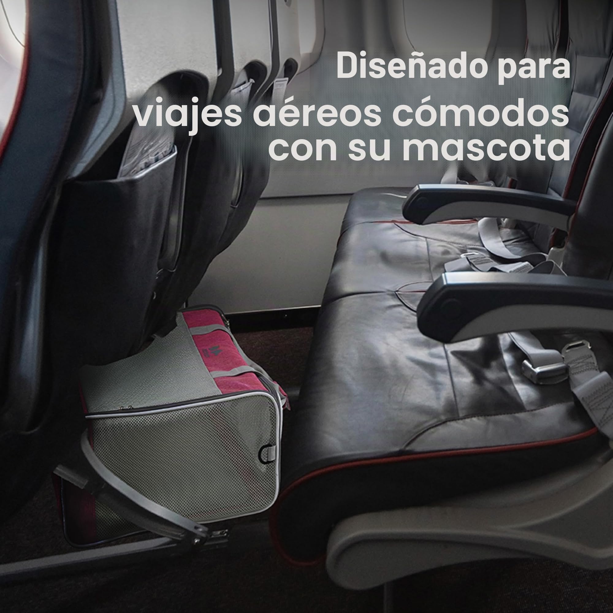 EQUICANI® Bolsa para perros, 55 x 40 x 23 cm, plegable, ligera, con tejido de malla, correa y base extraíble para perros y gatos, para viajes, coche, vuelo (negro)