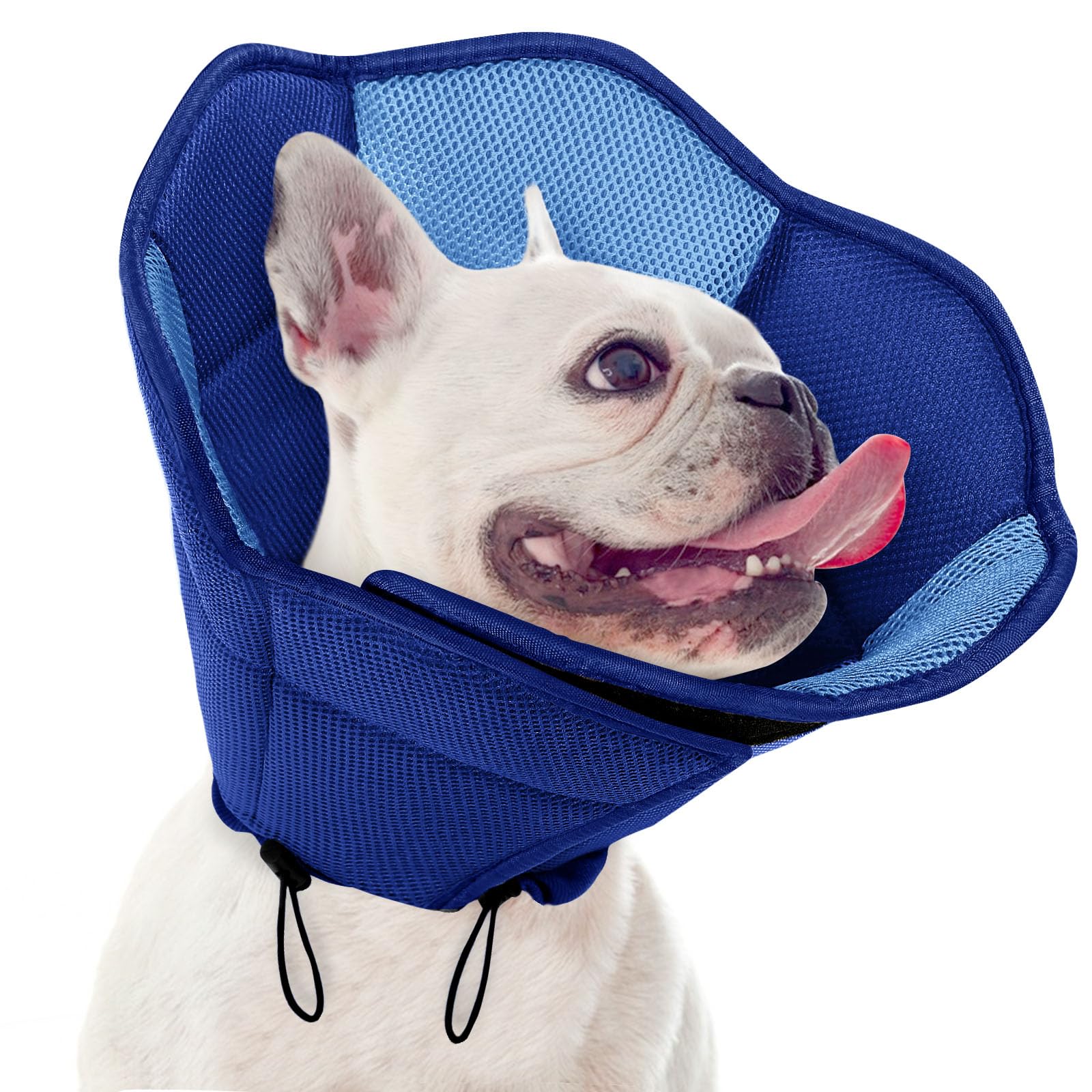 Dog Cone Soft Cone for Dogs to Stop Licking