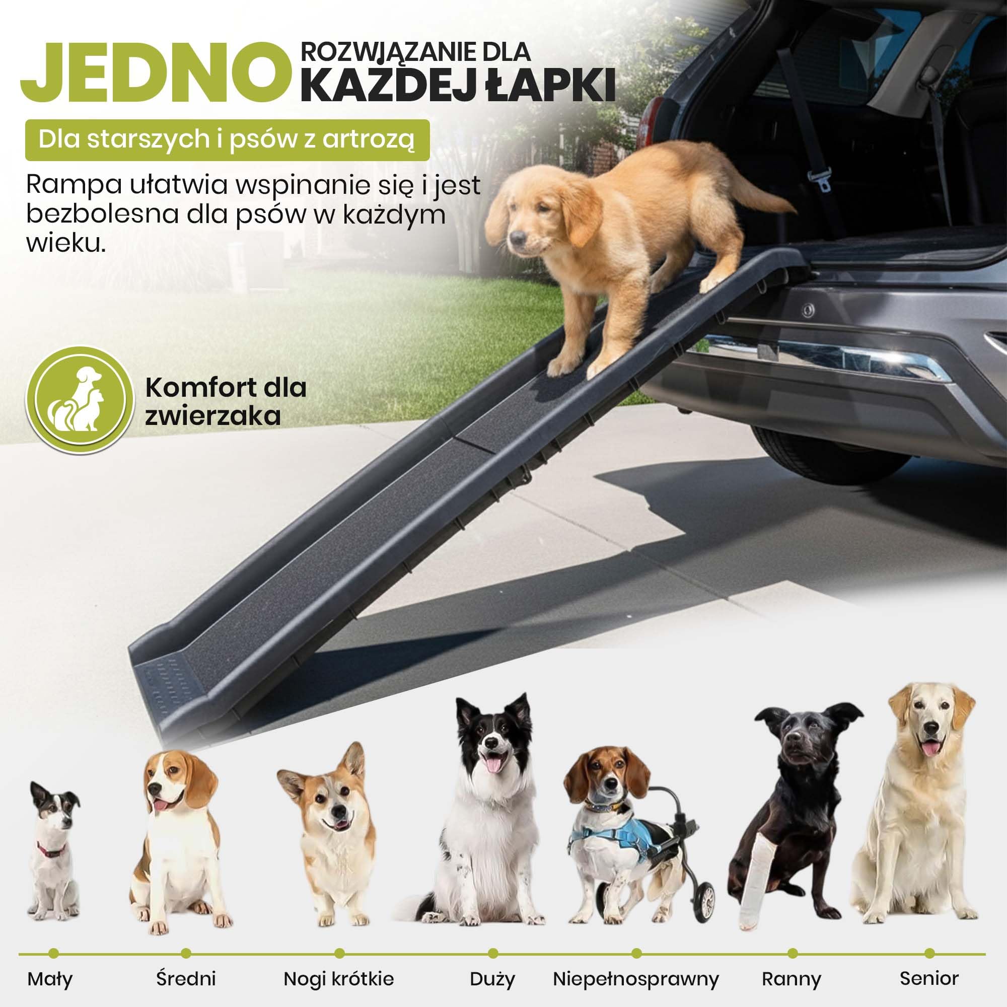 all Pets United® Rampa dla psa do bagażnika – udźwig 80 kg | Składana rampa dla psów i kotów, 157x40 cm, antypoślizgowa, ok. 5 kg – idealna do SUV i kombi