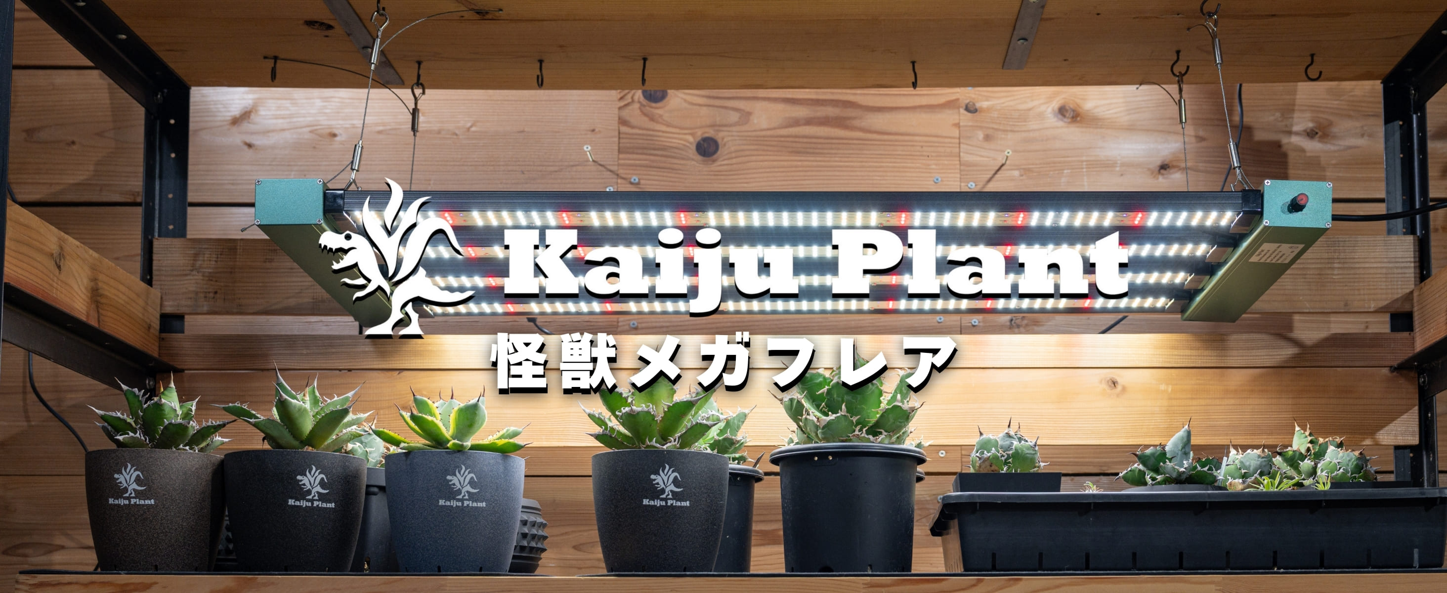 Amazon.co.jp: Kaiju Plant 怪獣メガフレア｜300W バータイプ 植物育成