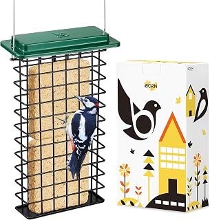 iBorn Double Suet Feeder, Durable Suet Cake Cage, Bird Feeder for Outdoor Hanging, Metal Roof Bird Feeder with Higher Grid for Woodpeckers, Large Suet Holder, Easy to Clean and Refill, 1 Pack, Green