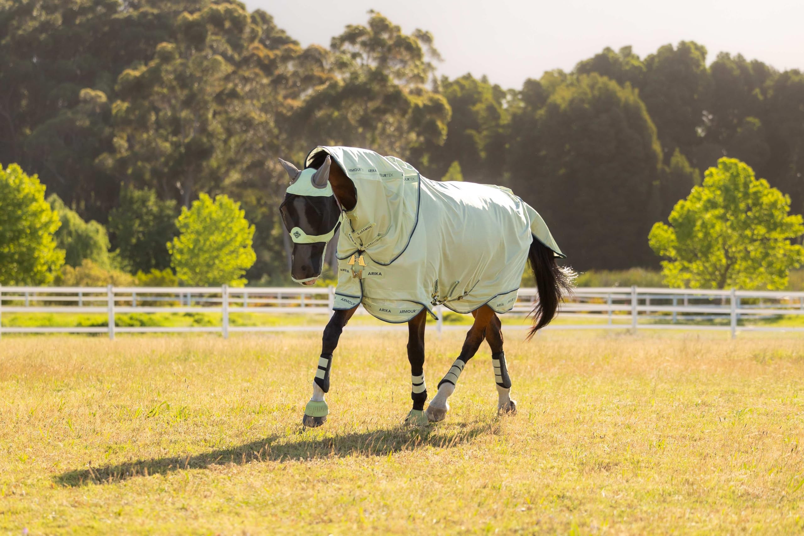 LeMieux Arika Armour-Tek - Manta antimoscas para caballo - Cuello extraíble - Macaron - 1,5 m