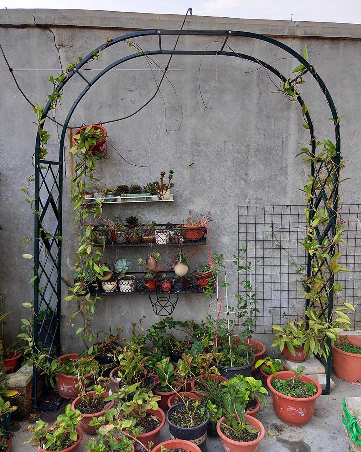 Pergola ogrodowa z metalu, łuk różany, pergola, do ogrodu, na trawnik, podwórko, taras, wesele, czarny - 180 cm