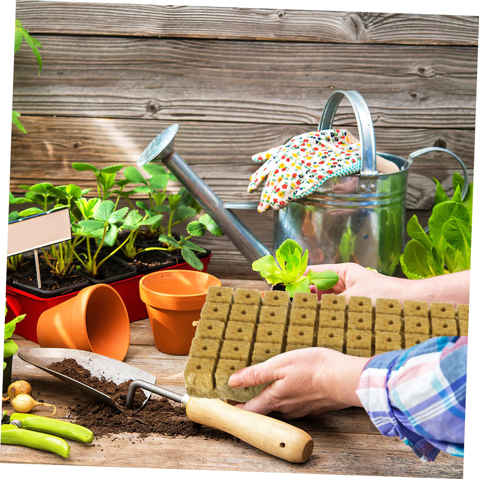 Sosoport 3 Juegos Bloques De Tierra para Propagación De Plantas Cubos para Plantas Cubos De Tierra os para Plantación Hidropónica Tapones De Cultivo os para Iniciar 100 Uds * 3