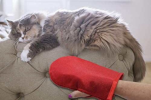 Miniatura 3 de Evercare Guante removedor de pelo para mascotas, 2 unidades