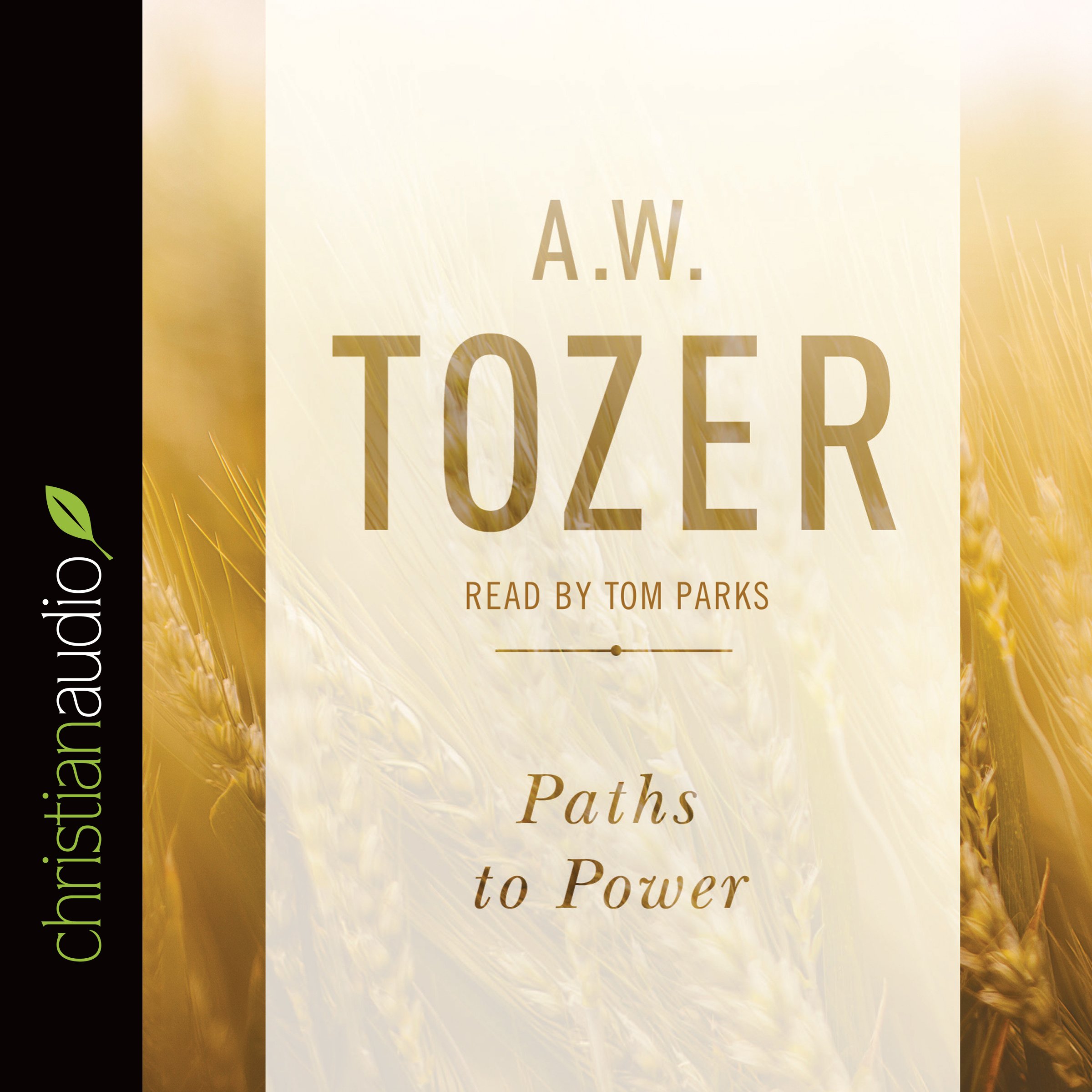 Cover art for Paths to Power