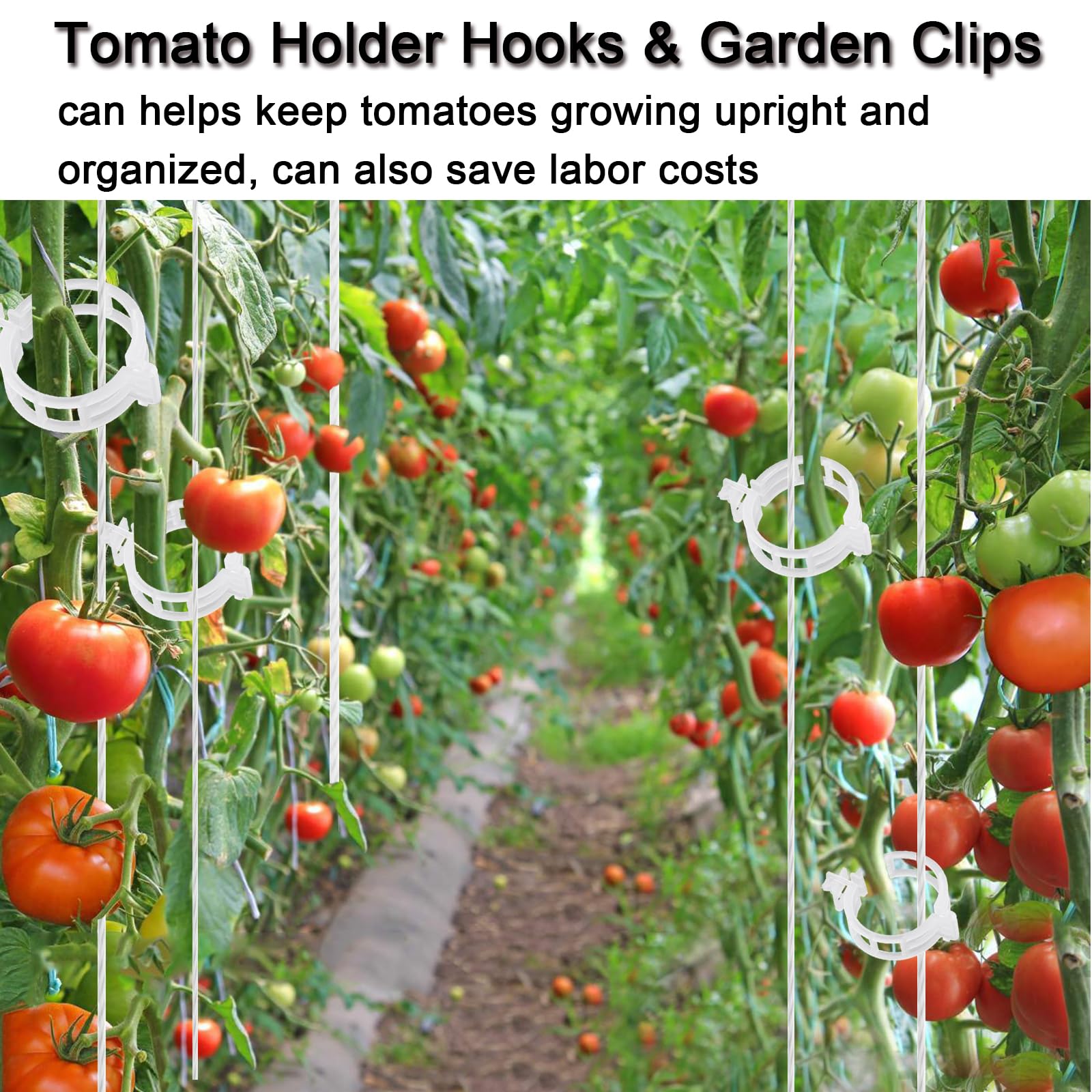Tomatenstützhaken mit Schnur, 20 Stück, 100 Stück Pflanzenstützklammern für Kletterpflanzen, Tomaten-Rankgitter-Rollenhaken mit 120 m Schnur, wiederverwendbare Weinreben-Clips zur Vermeidung von