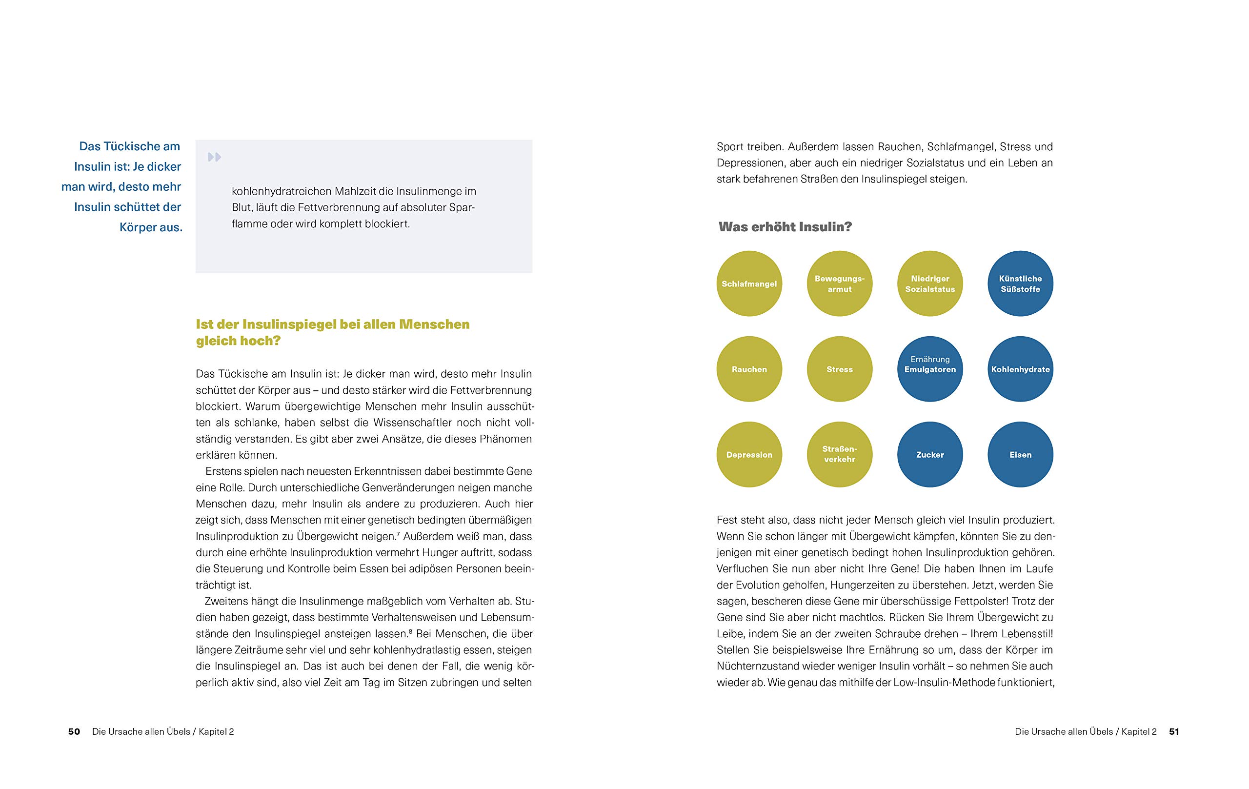 Wie Insulin uns alle dick oder schlank macht: Wissenschaft, neuster Stand: wie Sie Ihre Fettverbrennung selbst aktivieren