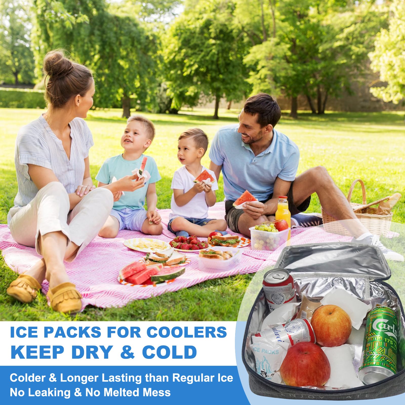 Spedizione Ice Packs Fogli Piccoli riutilizzabili Confezione da 20 Confezioni secche, per conservare Alimenti congelati, Gel congelato per refrigeratori, capacità 3,5 Once