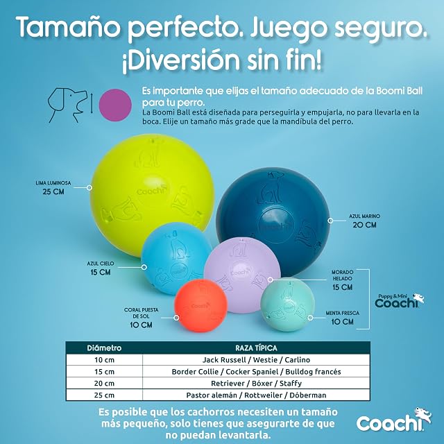 Foto 7 de 8 de Coachi Pelota para Perros Boomi Ball