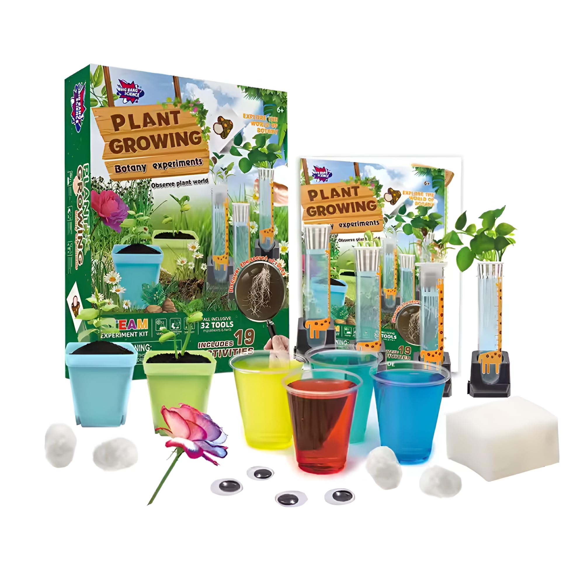 BIG BANG SCIENCE Little Thinker Steam Plant Growing Botany Experiment Kit
