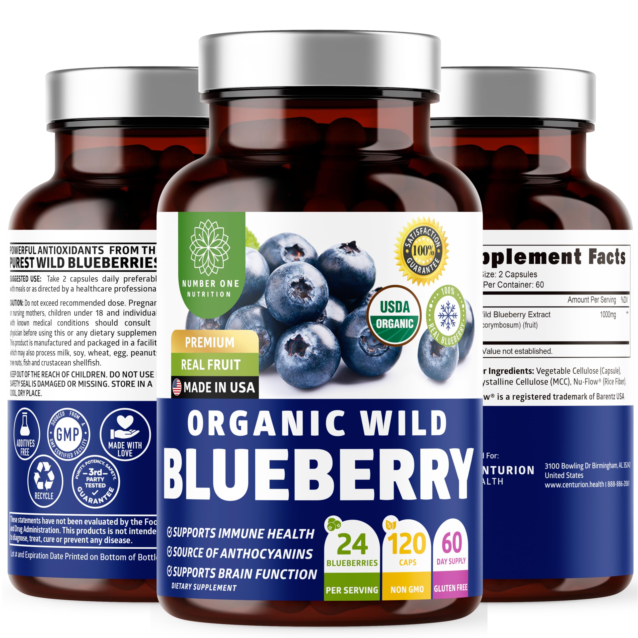 Number One Nutrition USDA Organic Wild Blueberry Extract bottle