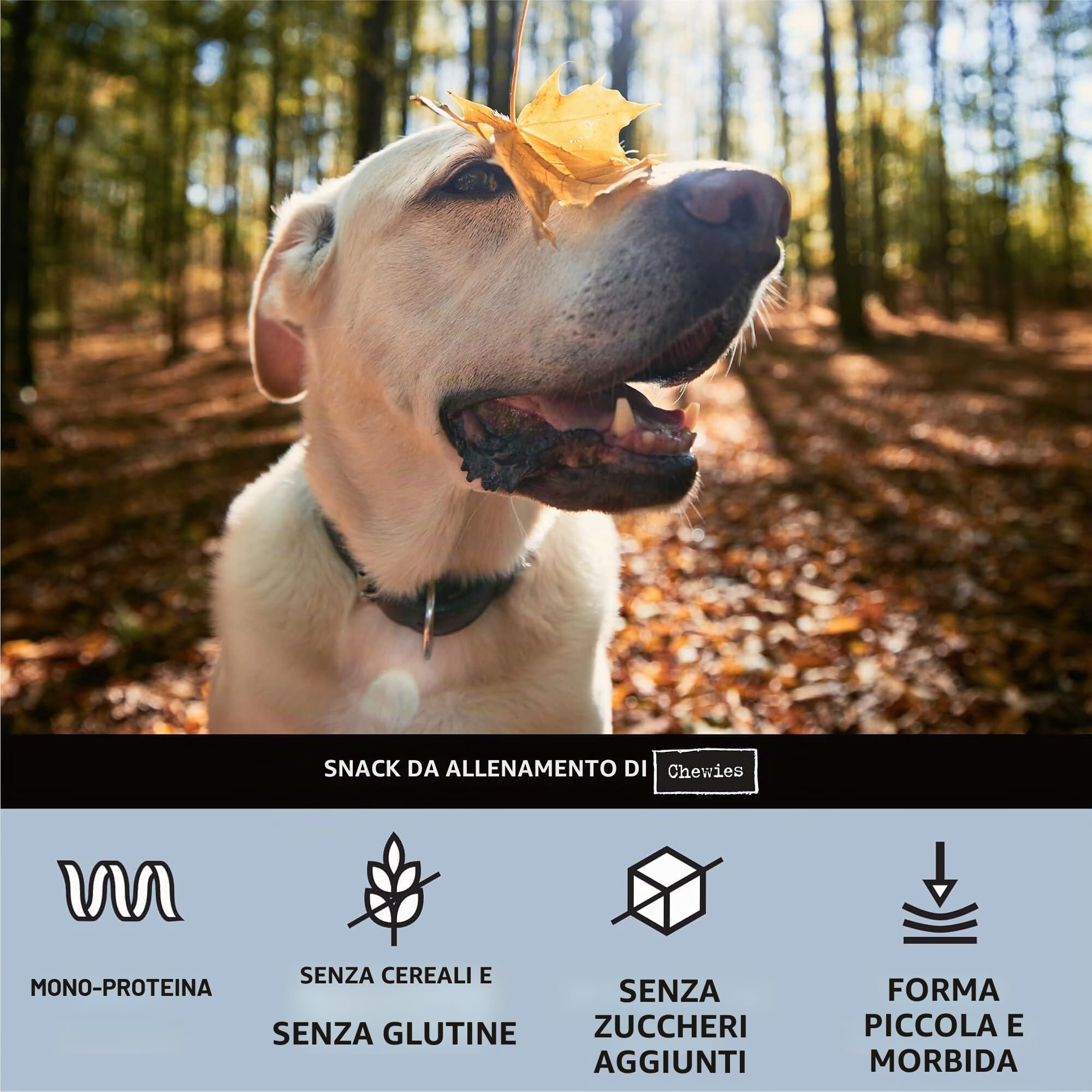 Chewies Proteine per cani salmone, senza cereali, morbide e senza zucchero, in un secchio richiudibile, prodotto in Germania (8 x 300 g)