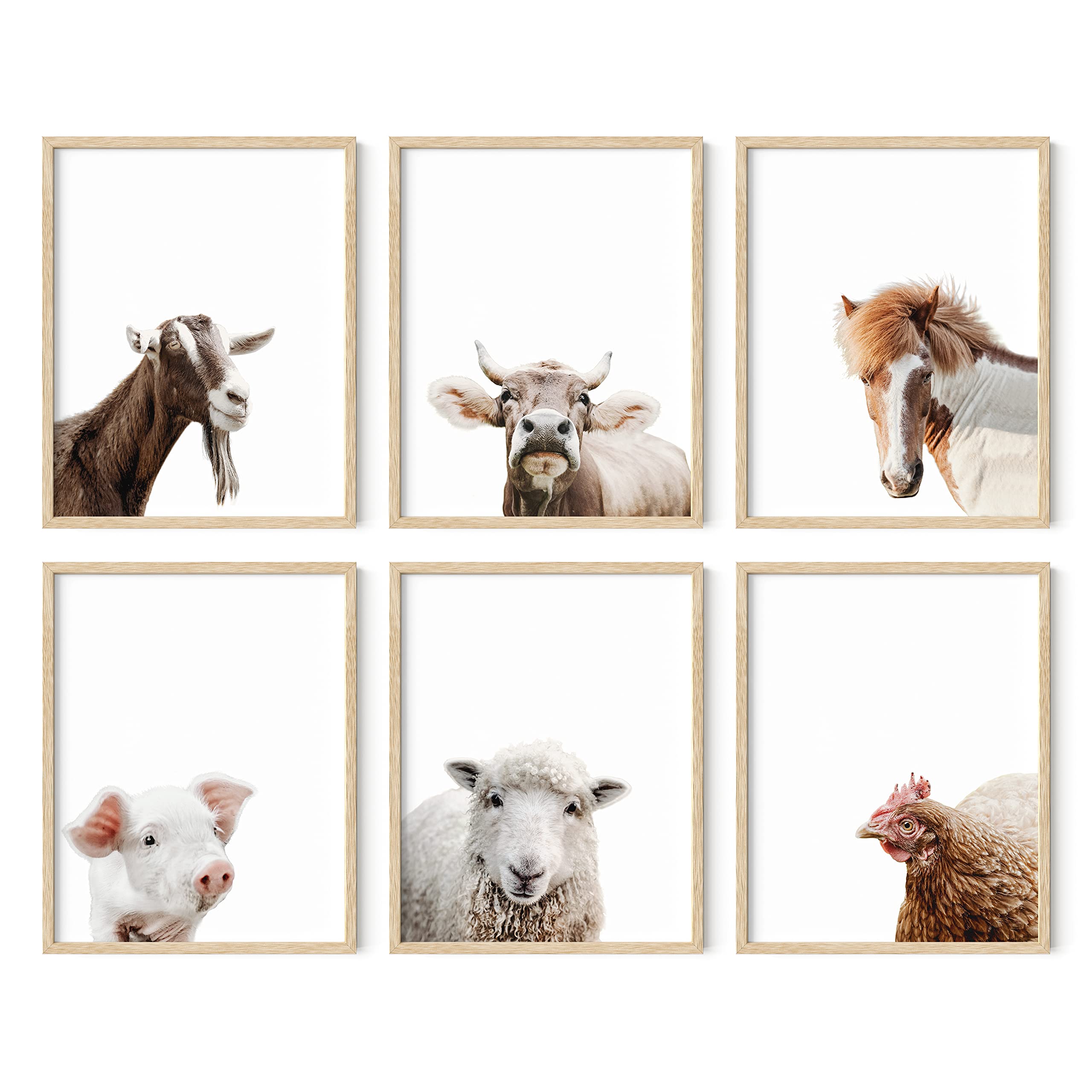 Amazon.com: HAUS AND HUES Rustic Farm Animal Pictures - Set of 6