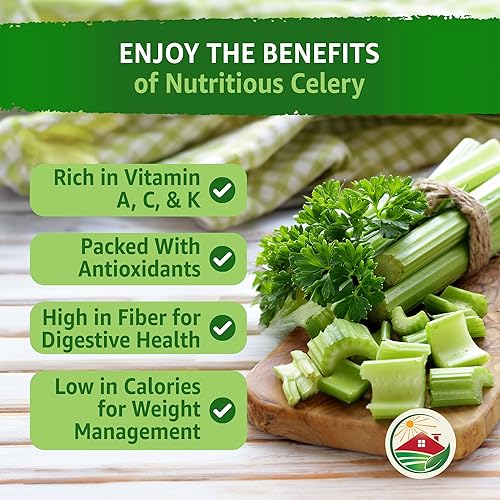 Miniatura 8 de TKE Farms, Semillas de apio para plantar, Utah 52-70, 0.04 oz aproximadamente 2500 semillas, Apium graveolens VAR. Dulce, sin OMG, reliquia,