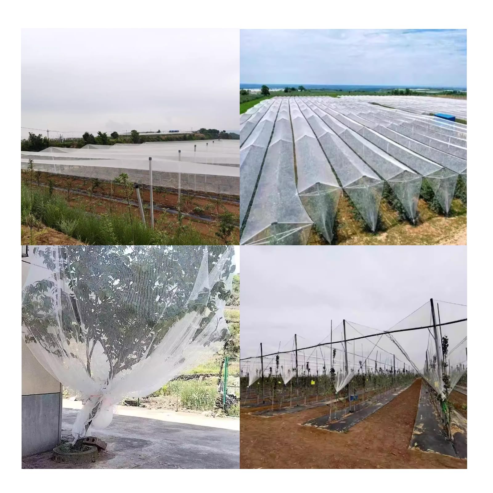 Red Antigranizo para Plantas,Malla Antigranizo para Huerto,Ligero Pero Duradero,Buena Transpirabilidad,para ProteccióN De JardíN,Plantas,Cargas Pesadas,áRboles De Frutas