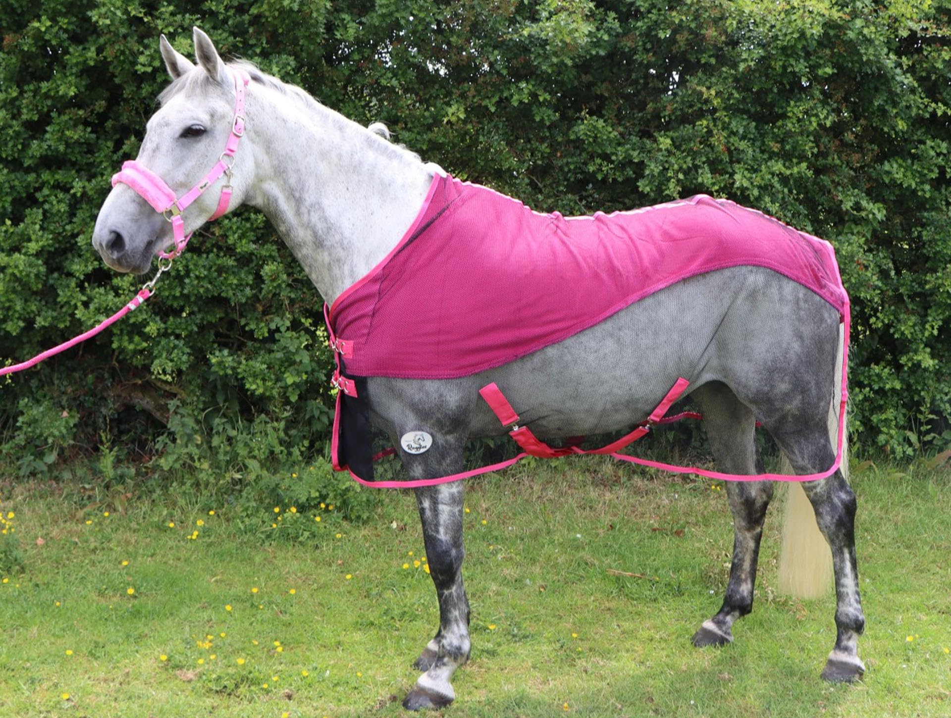 Ruggles Fleece/Mesh Cooler Rug for Horse and Ponies | Ideal for Travel Stable Cooling/drying after Exercise or Bathing - Black/Sky Blue (Black/Pink, 7')