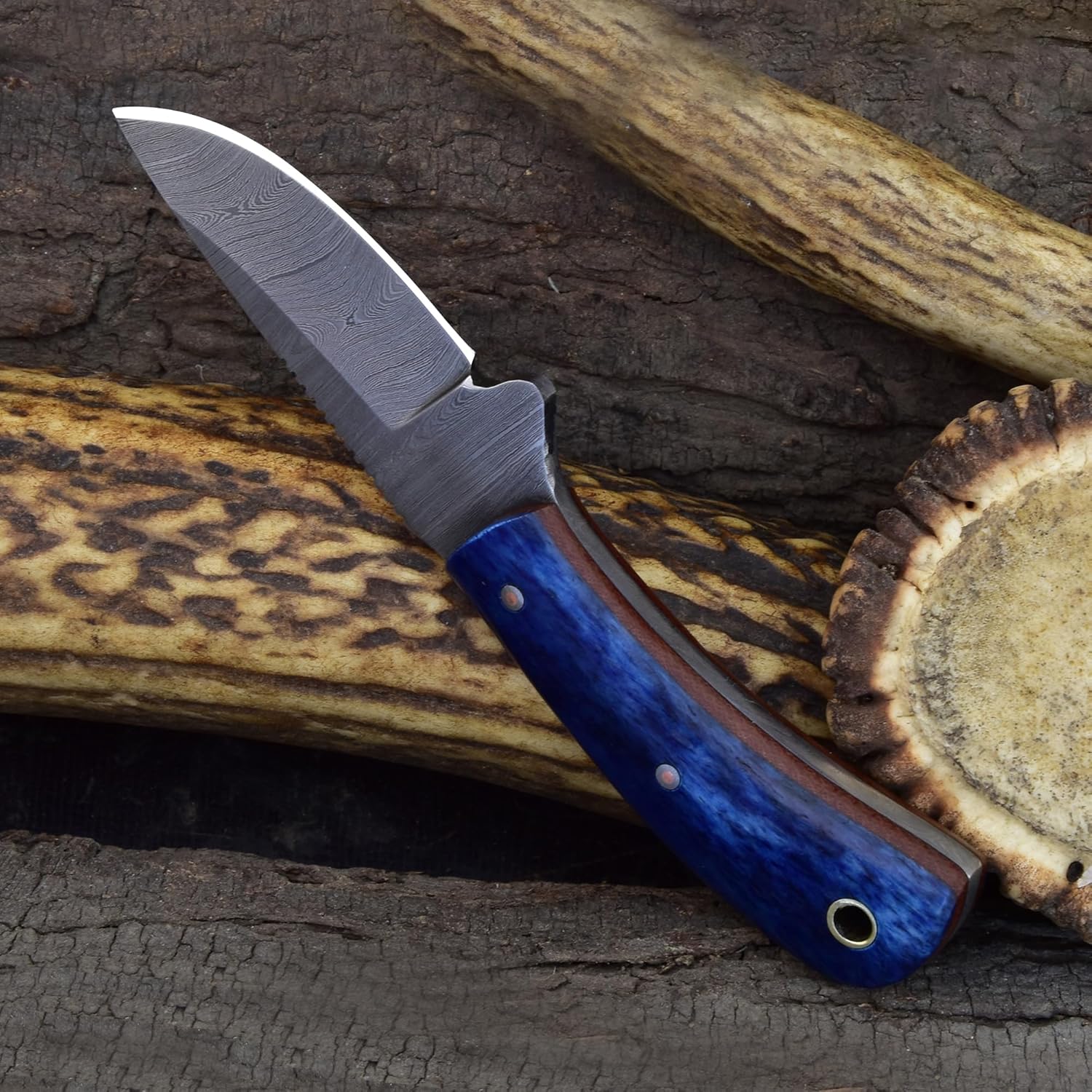 Knives Ranch EDC Fixed Blade Knife, Damascus Skinning Knife, Cattle Bone Handle and Horizontal Carrying Sheath Snug Fit (2006-BLU)