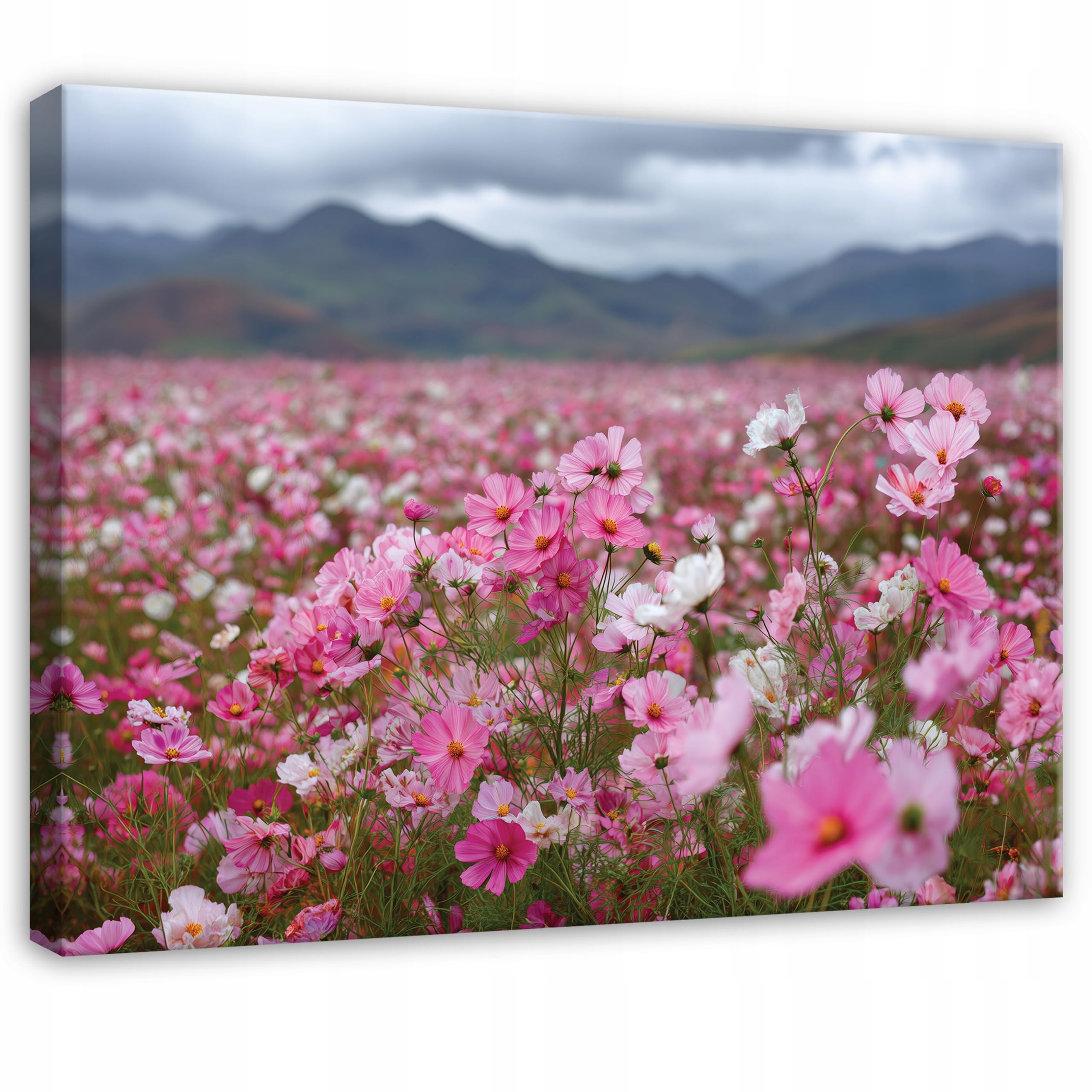 WallArena Canvas Pictures 40 x 30 cm