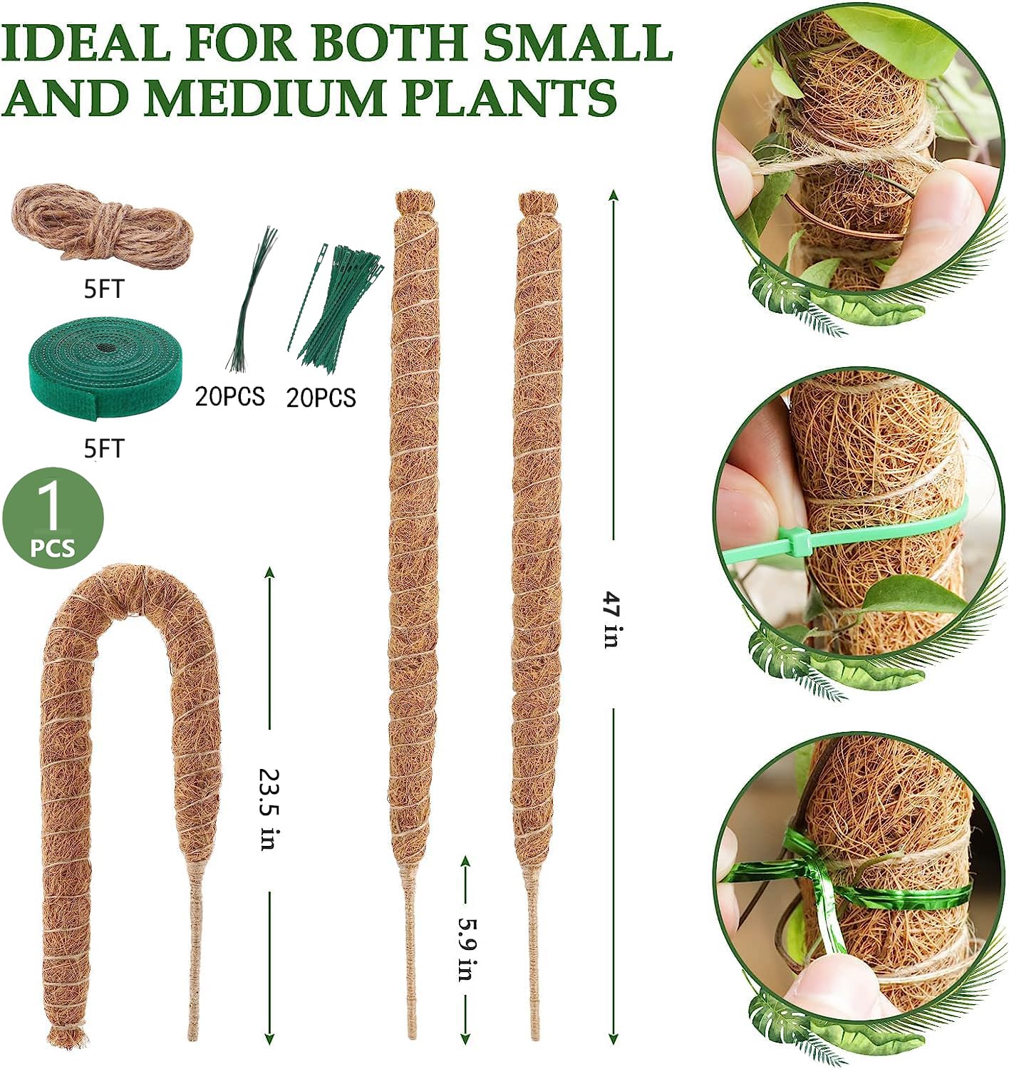 Amazon.com : 48 Inch Moss Pole, Bendable Moss Pole for Plants Monstera - Moss  Poles for Climbing Plants Indoor, Handmade Coco Coir Plant Support  Stakesfor Potted Plants, Pothos, Philodendron : Patio, Lawn & Garden